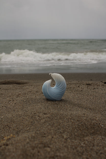 Wave