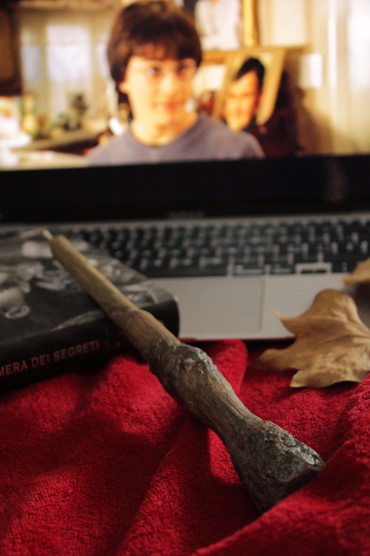 Harry Potter Wand