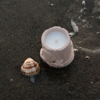 Salsedine 🐚