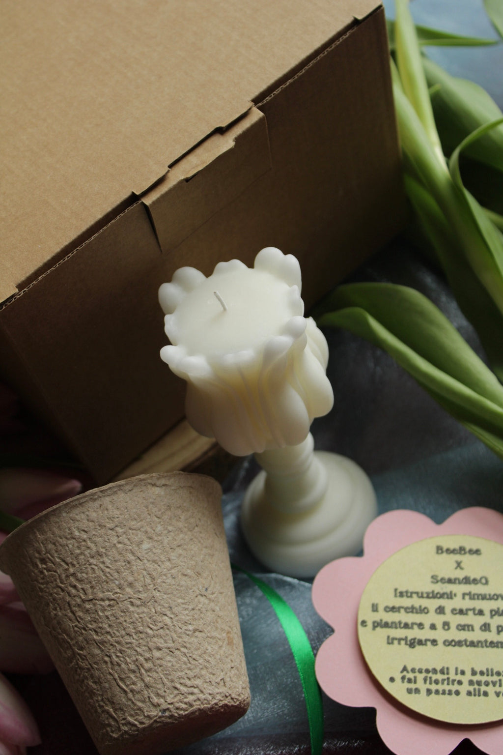 Tulip box,dove il design incontra la sostenibilità