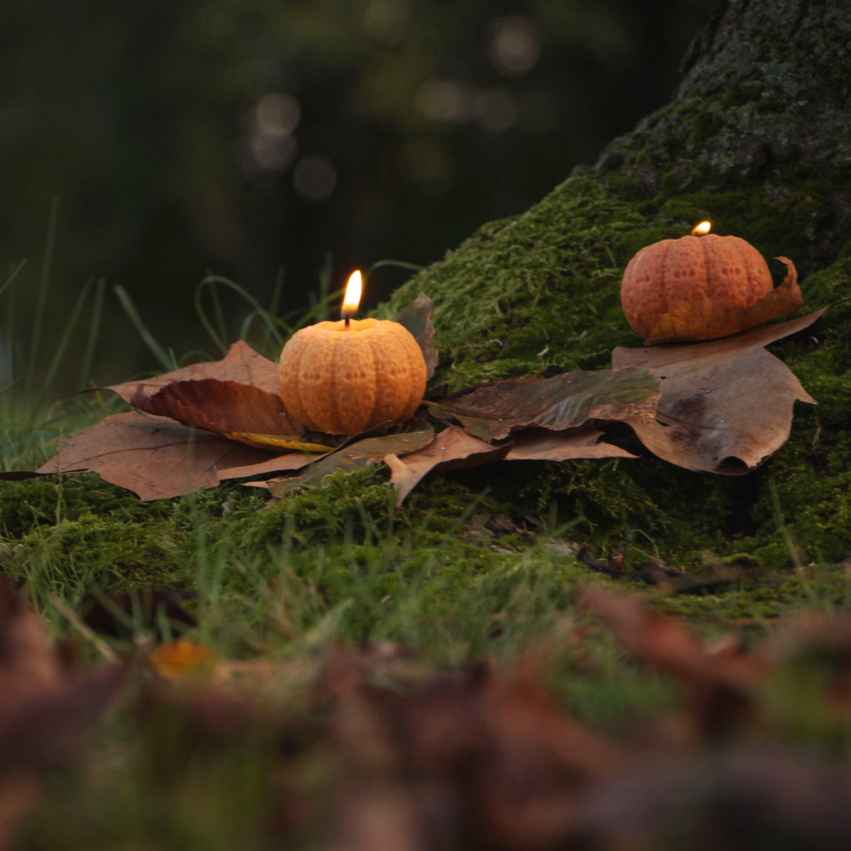 Pumpkin
