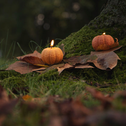 Pumpkin