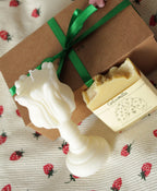 Tulip box,dove il design incontra la sostenibilità