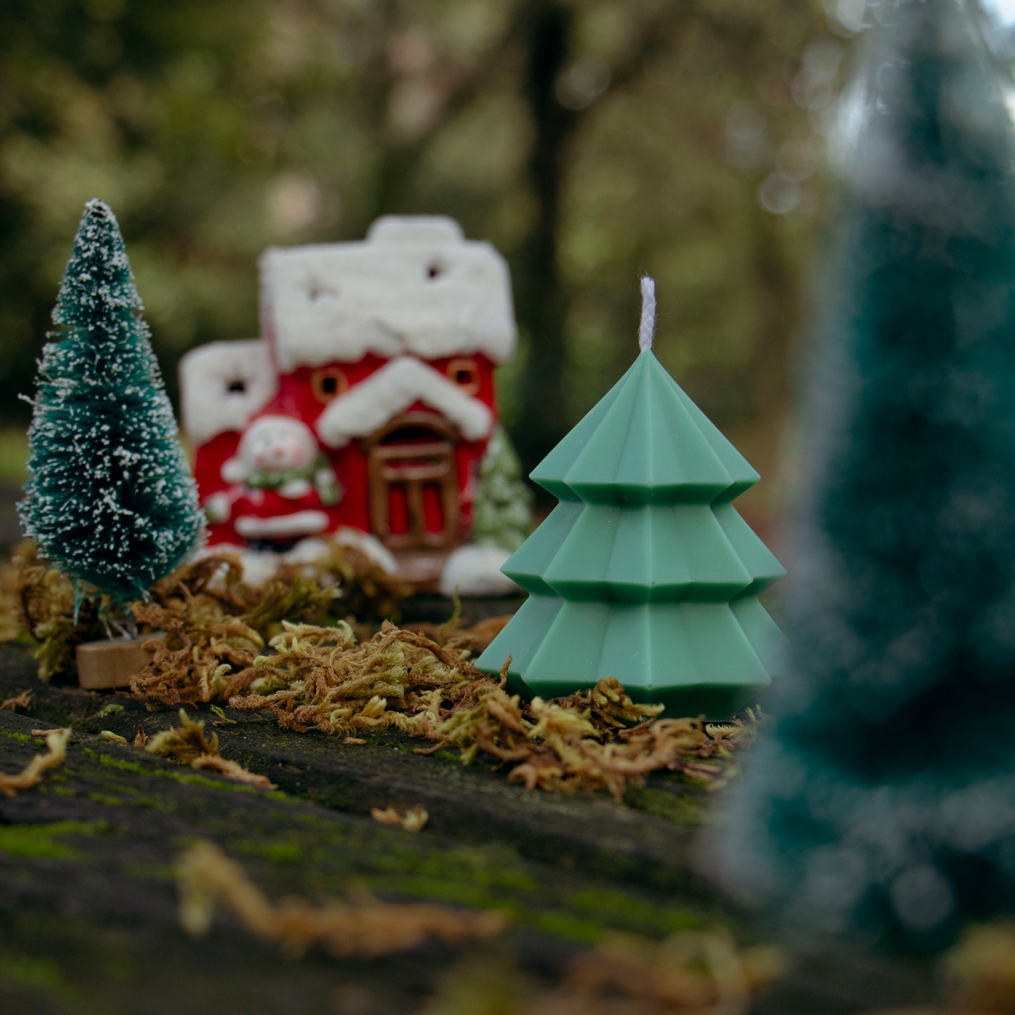 Trees 🌲