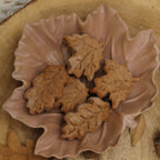 Porta oggetti foglia