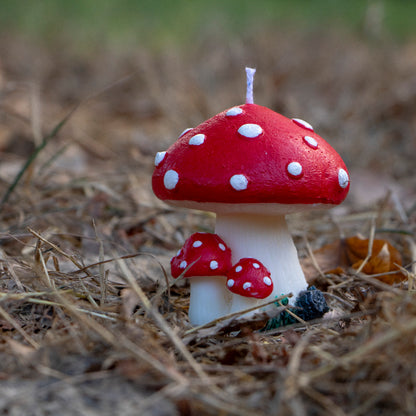 Mushroom magico