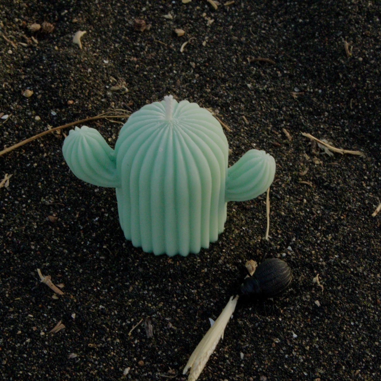 CACTUS