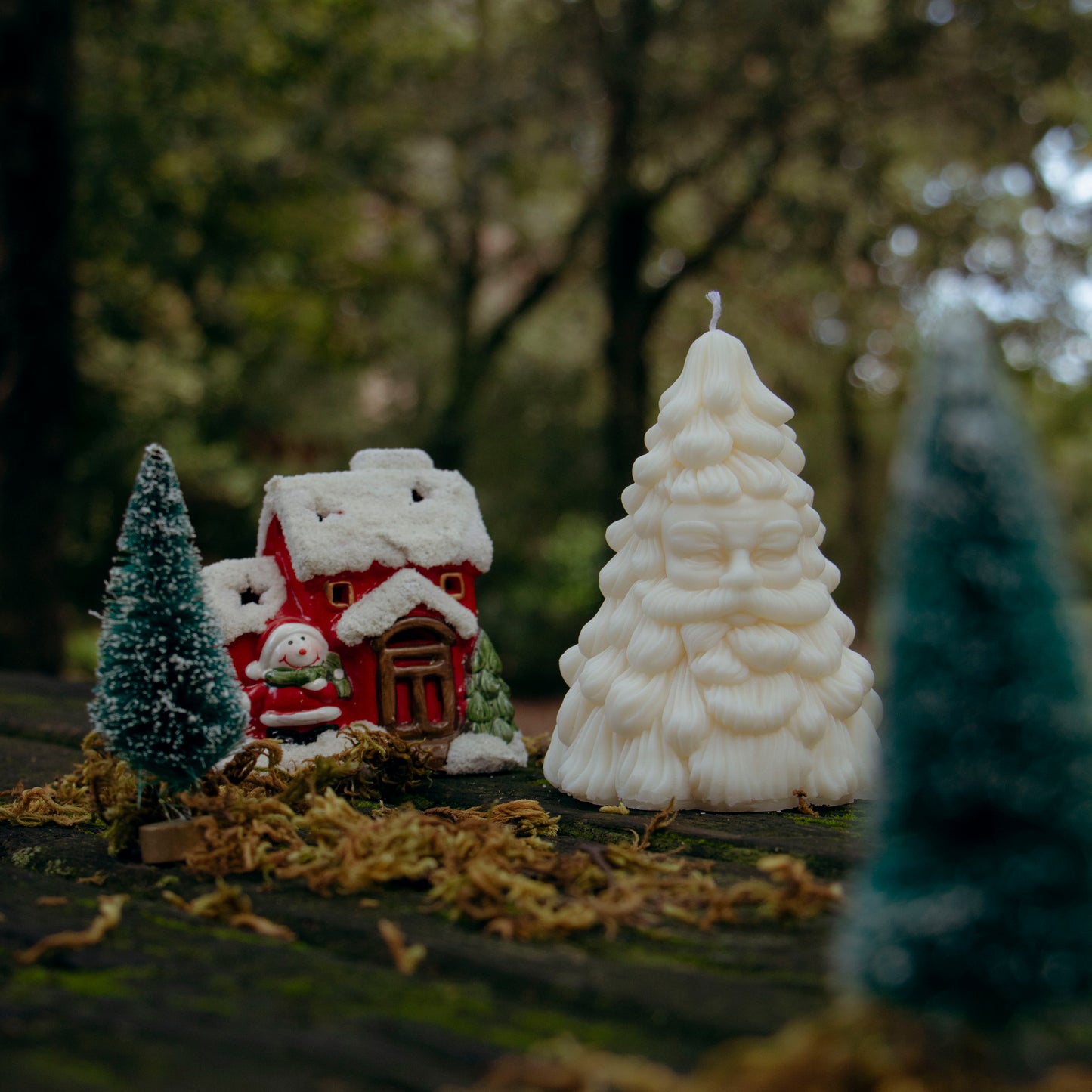 Trees 🌲