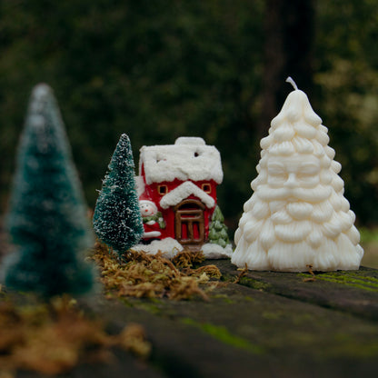 Trees 🌲