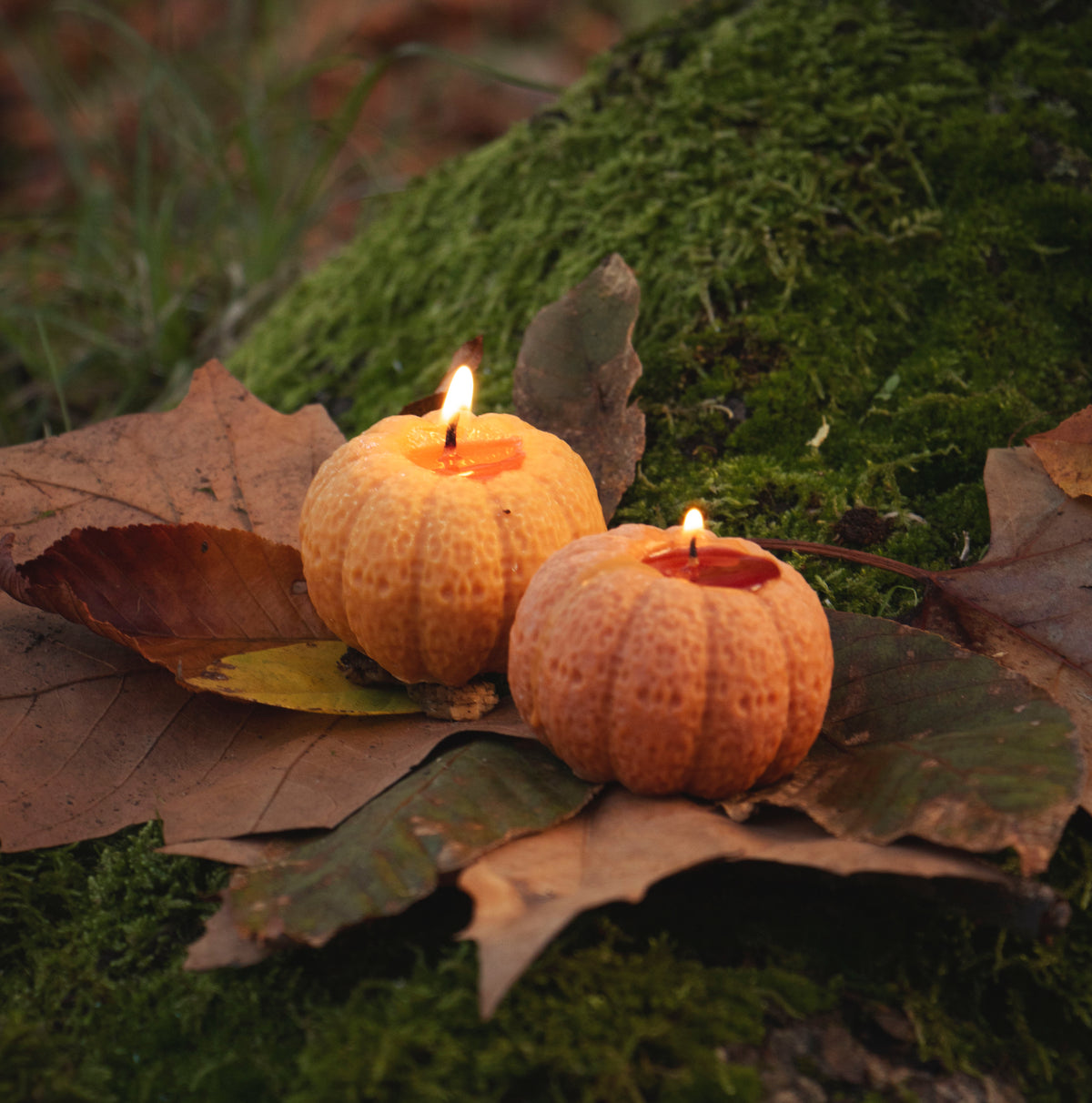 Pumpkin