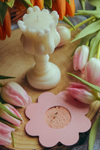 Tulip box,dove il design incontra la sostenibilità