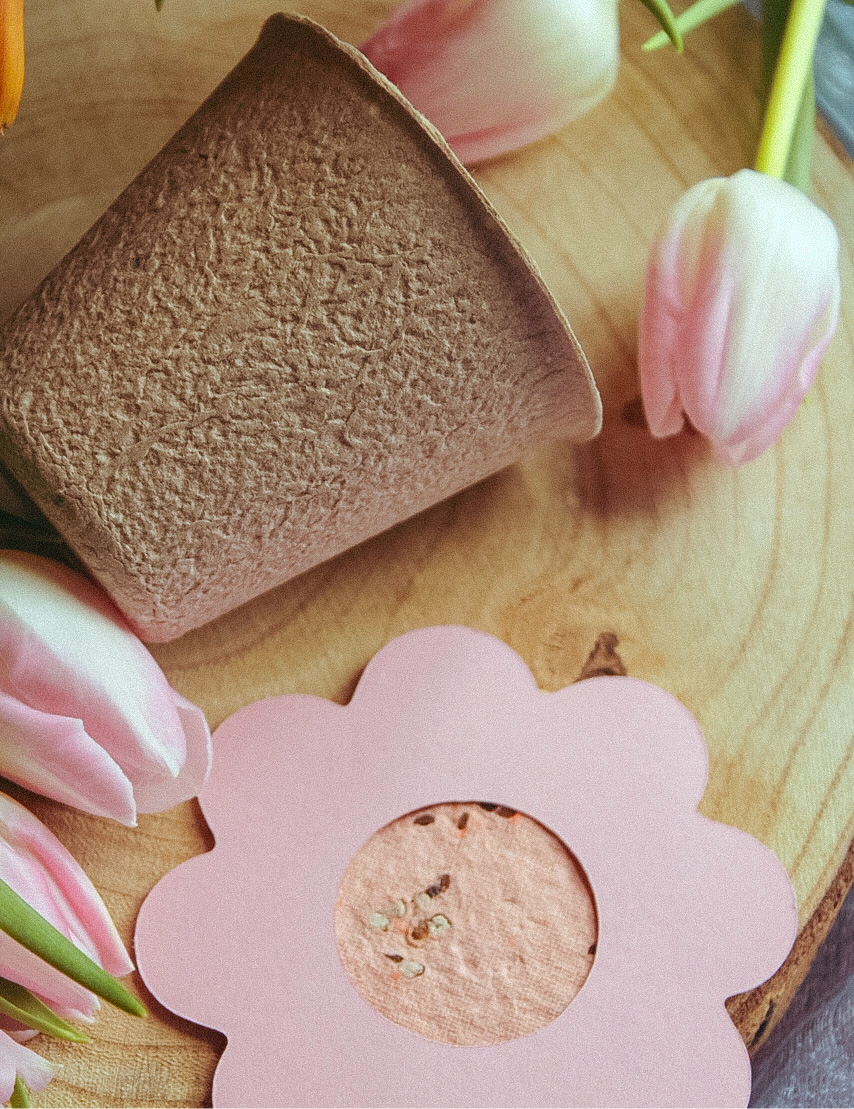 Tulip box,dove il design incontra la sostenibilità